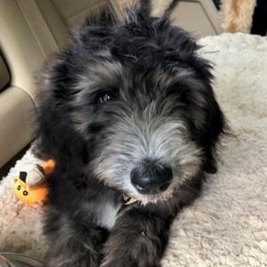 Meet your Posher, Eric